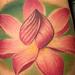 tattoo galleries/ - Joanne's lotus - 55293